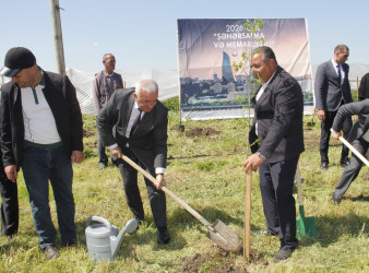 Cəlilabadda “Şəhərsalma və Memarlıq İli” çərçivəsində ağacəkmə və təmizlik aksiyası keçirilib