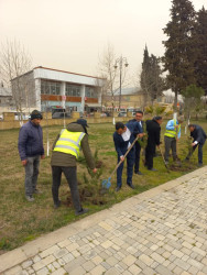 Ümummilli lider Heydər Əliyevin 100 illik yubileyi münasibətilə Göytəpə şəhərində ağacəkmə aksiyası keçirilib