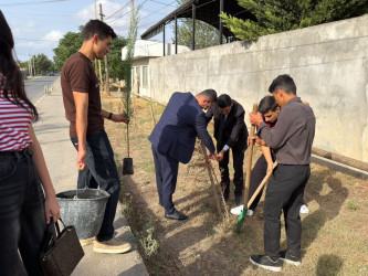Cəlilabadda 27 Sentyabr – Anım Gününə həsr olunmuş silsilə tədbirlər keçirilib