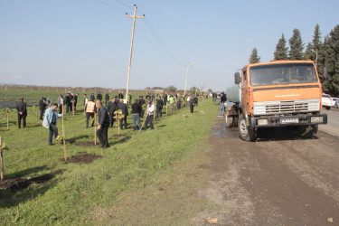 Cəlilabadda 8 noyabr – Zəfər Gününün beşinci ildönümü ilə əlaqədar ağacəkmə aksiyası keçirilib