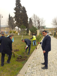 Ümummilli lider Heydər Əliyevin 100 illik yubileyi münasibətilə Göytəpə şəhərində ağacəkmə aksiyası keçirilib