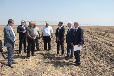 Cəlilabad rayonunda kənd təsərrüfatının inkişafına dair Dövlət Proqramının icrası ilə bağlı görülən işlər və qarşıda duran vəzifələr müzakirə olunub