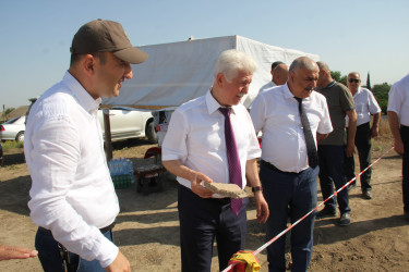 Rafiq Cəlilov “Paşatəpə” abidəsində aparılan arxeoloji qazıntı işləri ilə tanış olmuşdur