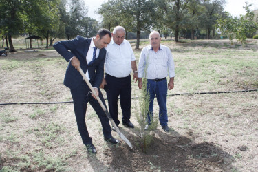 Cəlilabadda 27 Sentyabr-Anım Günü ilə əlaqədar ağacəkmə aksiyası keçirilmişdir