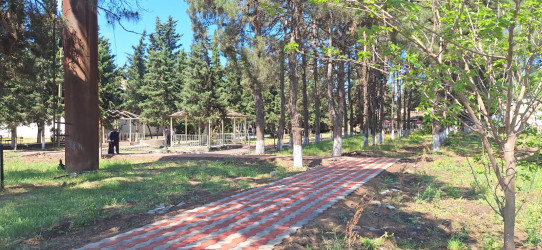 Cəlilabad rayonunun Alar kəndində yeni park salınır