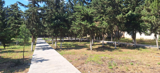 Cəlilabad rayonunun Alar kəndində yeni park salınır