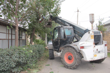 Cəlilabadda yaşıllıqlara qulluq müntəzəm olaraq davam etdirilir.