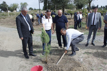 Cəlilabadda 27 Sentyabr-Anım Günü ilə əlaqədar ağacəkmə aksiyası keçirilmişdir