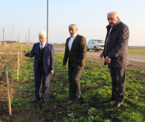 Rayon İcra Hakimiyyətinin başçısı tərəfindən rayon ərazisində aparılan abadlıq işlərinə baxış keçirilib