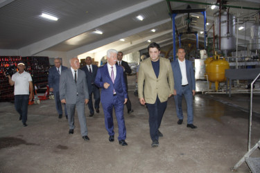 Cəlilabad Rayon İcra Hakimiyyətinin başçısı Rafiq Cəlilov rayonda fəaliyyət göstərən konserv zavodunda istehsal prosesi ilə tanış olub