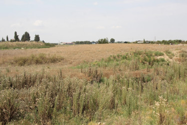 Cəlilabad rayonu ərazisində yeni bir qədim yaşayış məntəqəsi aşkarlanmışdır