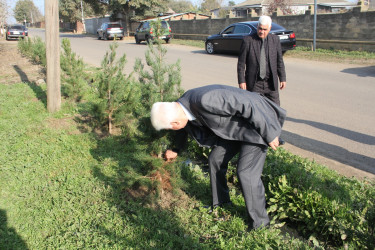 Rafiq Cəlilov kəndlərdə yaşıllaşdırma işlərinə baxış keçirdi