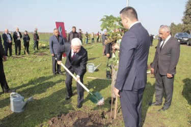 Cəlilabadda 8 noyabr – Zəfər Gününün beşinci ildönümü ilə əlaqədar ağacəkmə aksiyası keçirilib