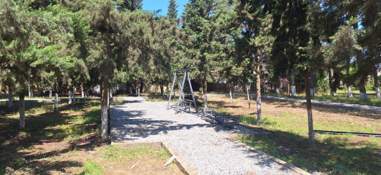 Cəlilabad rayonunun Alar kəndində yeni park salınır