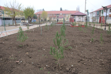 Cəlilabad şəhərində icra olunan abad həyət layihəsində son tamamlama işləri aparılır