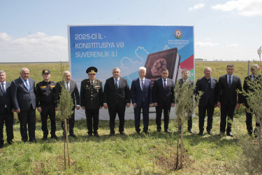 Cəlilabadda “Konstitusiya və Suverenlik İli”nə həsr olunmuş ağacəkmə aksiyası keçirilib