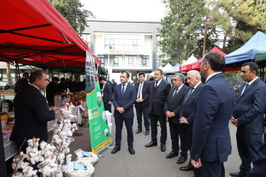 Cəlilabad rayonunda toxum sərgi-satış yarmarkası keçirilib