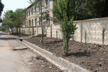 Cəlilabad rayonunda abadlıq işləri çərçivəsində kompleks tədbirlər davam etdirilir