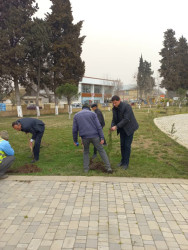 Ümummilli lider Heydər Əliyevin 100 illik yubileyi münasibətilə Göytəpə şəhərində ağacəkmə aksiyası keçirilib