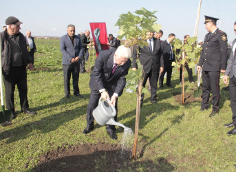 Cəlilabadda 8 noyabr – Zəfər Gününün beşinci ildönümü ilə əlaqədar ağacəkmə aksiyası keçirilib