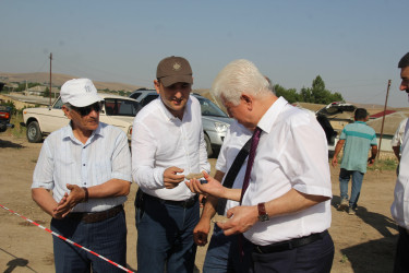 Rafiq Cəlilov “Paşatəpə” abidəsində aparılan arxeoloji qazıntı işləri ilə tanış olmuşdur