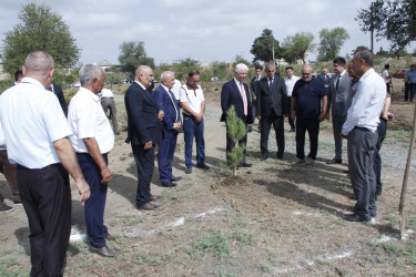 Cəlilabadda 27 Sentyabr-Anım Günü ilə əlaqədar ağacəkmə aksiyası keçirilmişdir