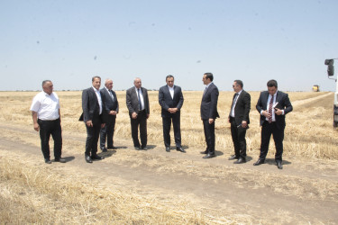 Cəlilabad, Biləsuvar və Neftçala rayonlarının  ərazisində dənli, texniki bitkilərin biçini ilə bağlı görülmüş işlər,  aparılan maarifləndirmə tədbirləri və qarşıda duran vəzifələr barədə  müşavirə keçirilmişdir