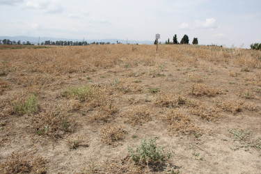 Cəlilabad rayonu ərazisində yeni bir qədim yaşayış məntəqəsi aşkarlanmışdır