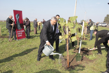 Cəlilabadda 8 noyabr – Zəfər Gününün beşinci ildönümü ilə əlaqədar ağacəkmə aksiyası keçirilib
