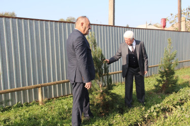 Rafiq Cəlilov kəndlərdə yaşıllaşdırma işlərinə baxış keçirdi