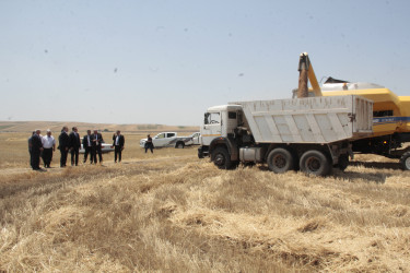 Cəlilabad, Biləsuvar və Neftçala rayonlarının  ərazisində dənli, texniki bitkilərin biçini ilə bağlı görülmüş işlər,  aparılan maarifləndirmə tədbirləri və qarşıda duran vəzifələr barədə  müşavirə keçirilmişdir