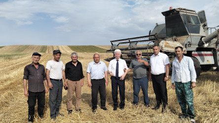Rafiq Cəlilov rayon ərazisində taxıl biçinin gedişi ilə tanış olub