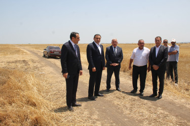 Cəlilabad, Biləsuvar və Neftçala rayonlarının  ərazisində dənli, texniki bitkilərin biçini ilə bağlı görülmüş işlər,  aparılan maarifləndirmə tədbirləri və qarşıda duran vəzifələr barədə  müşavirə keçirilmişdir