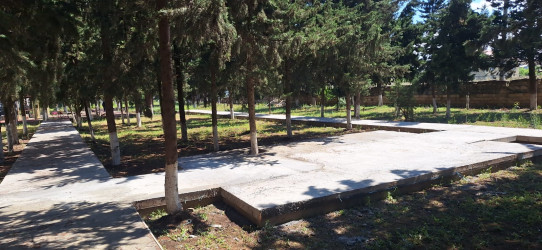 Cəlilabad rayonunun Alar kəndində yeni park salınır