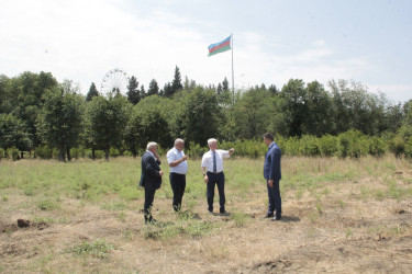 Rafiq Cəlilov kənd yaşayış məntəqələrində və şəhər ərazisində aparılan abadlıq, quruculuq və yenidənqurma işləri ilə tanış olmuşdur
