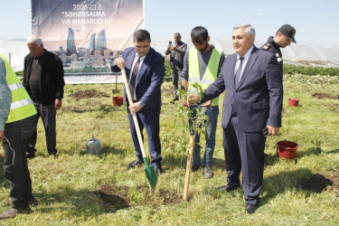 Cəlilabadda “Şəhərsalma və Memarlıq İli” çərçivəsində ağacəkmə və təmizlik aksiyası keçirilib