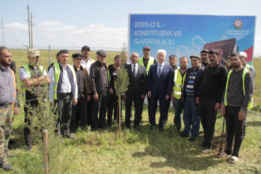 Cəlilabadda “Konstitusiya və Suverenlik İli”nə həsr olunmuş ağacəkmə aksiyası keçirilib