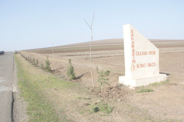 Rafiq Cəlilov kəndlərdə yaşıllaşdırma işlərinə baxış keçirdi