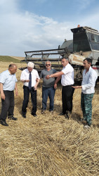 Rafiq Cəlilov rayon ərazisində taxıl biçinin gedişi ilə tanış olub