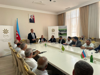 Yerli məhsulların satışına dəstək istiqamətində mövcud imkanlar, çətinliklər və perspektivlərə dair görüş keçirilib.