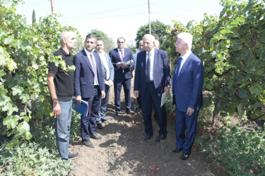 Cəlilabad rayonunda kənd təsərrüfatının inkişafına dair Dövlət Proqramının icrası ilə bağlı görülən işlər və qarşıda duran vəzifələr müzakirə olunub