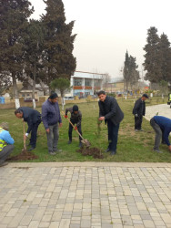 Ümummilli lider Heydər Əliyevin 100 illik yubileyi münasibətilə Göytəpə şəhərində ağacəkmə aksiyası keçirilib