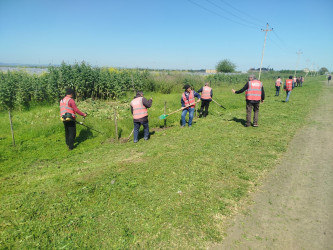 Cəlilabadda “Şəhərsalma və Memarlıq İli” çərçivəsində ağacəkmə və təmizlik aksiyası keçirilib