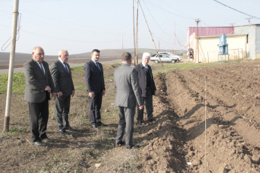 Rafiq Cəlilov kəndlərdə yaşıllaşdırma işlərinə baxış keçirdi