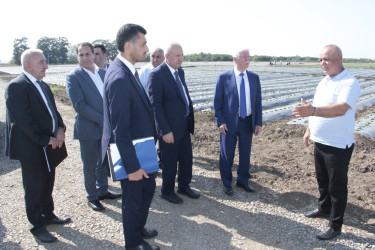 Cəlilabad rayonunda kənd təsərrüfatının inkişafına dair Dövlət Proqramının icrası ilə bağlı görülən işlər və qarşıda duran vəzifələr müzakirə olunub
