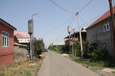 Cəlilabad rayonunda abadlıq işləri çərçivəsində kompleks tədbirlər davam etdirilir