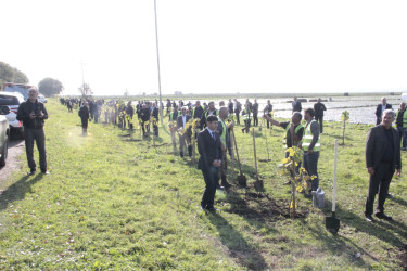 Cəlilabadda 8 noyabr – Zəfər Gününün beşinci ildönümü ilə əlaqədar ağacəkmə aksiyası keçirilib