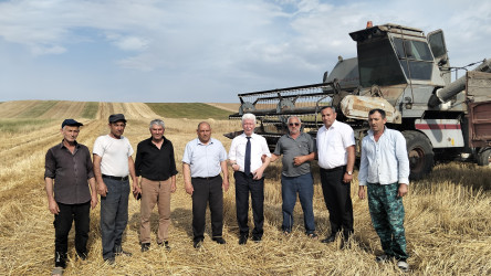 Rafiq Cəlilov rayon ərazisində taxıl biçinin gedişi ilə tanış olub