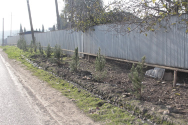 Rafiq Cəlilov kəndlərdə yaşıllaşdırma işlərinə baxış keçirdi
