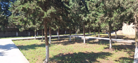 Cəlilabad rayonunun Alar kəndində yeni park salınır